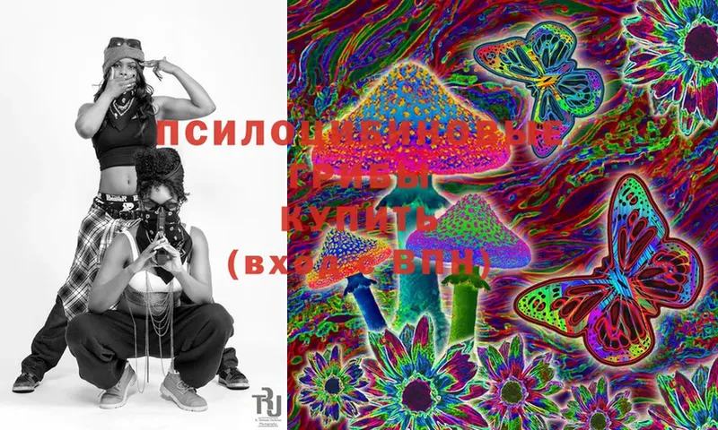 Псилоцибиновые грибы Magic Shrooms  Шлиссельбург 